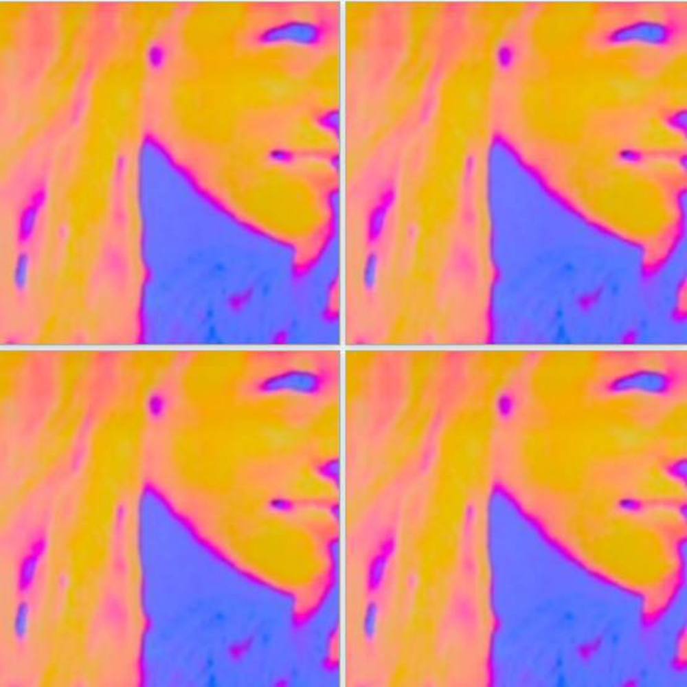 Meet your Posher, Terrie felix-